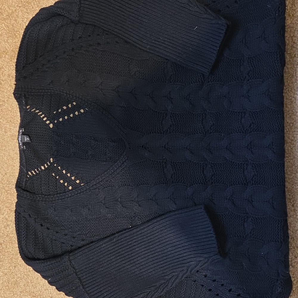 Express Women's V-Neck Sweater in Black